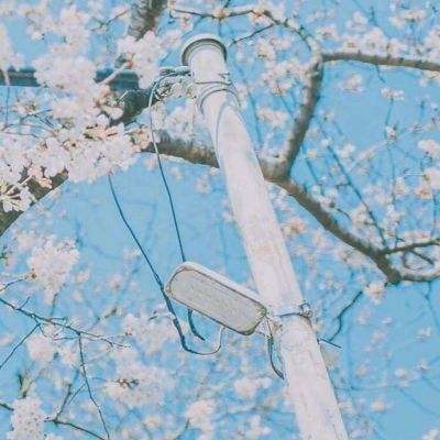 大发dafa888手机app下载